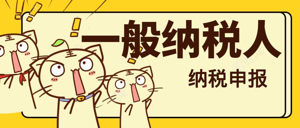 一般纳税人会计账务处理,一般纳税人全套财务账务处理题目