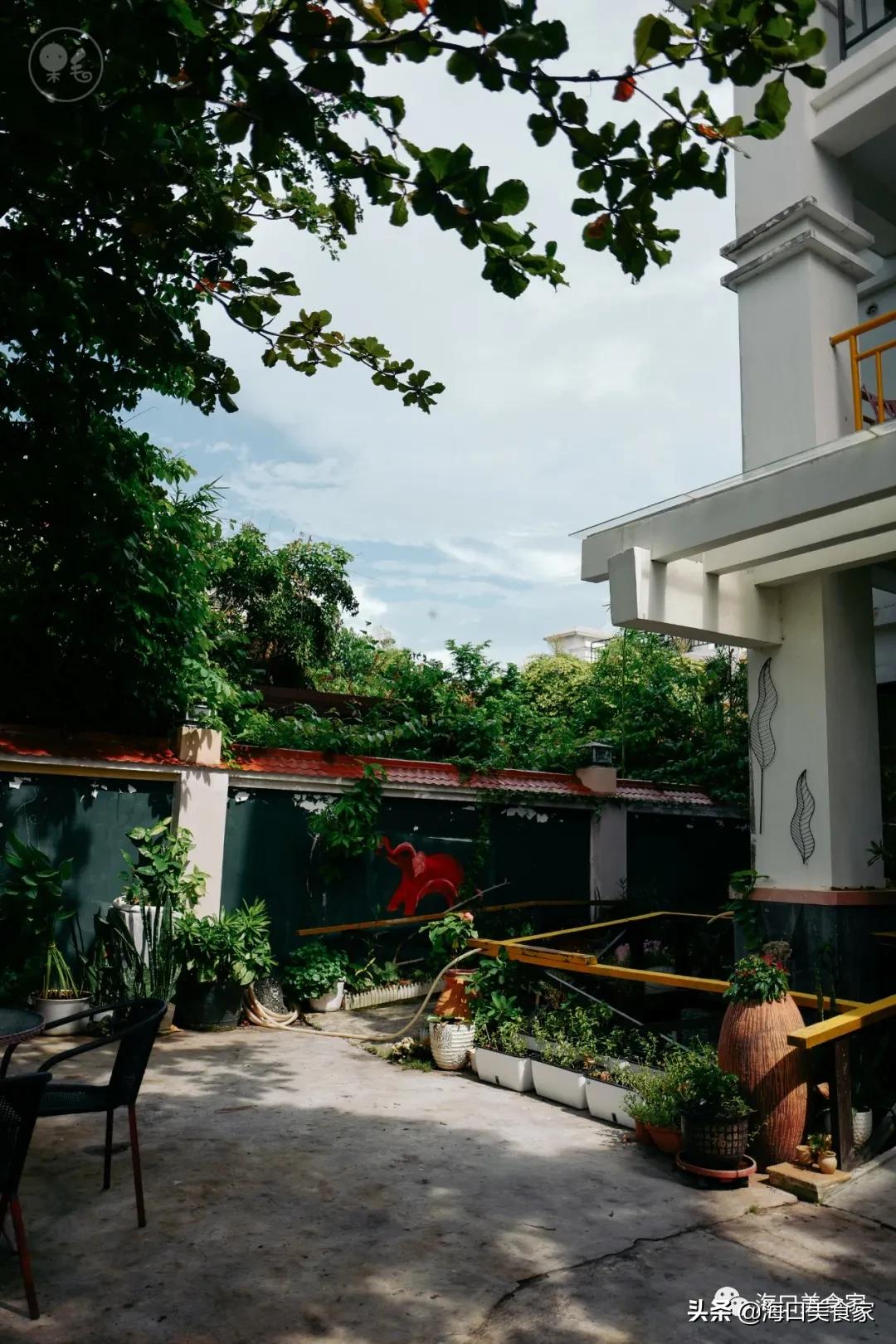 海口风很大,海口最近风大吗