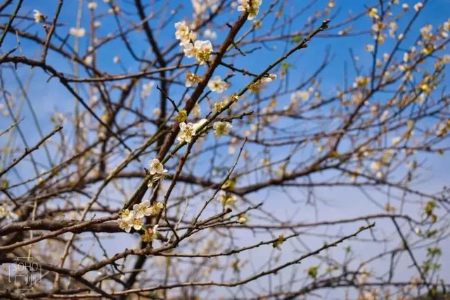 广州地铁直达的打卡地,广州地铁打卡好玩的地方