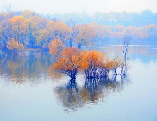 灞桥的古诗有哪些,古诗中灞桥在哪里