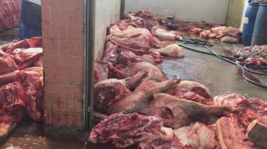 正规肉联厂生意,佛山肉联厂病死猪事件后续