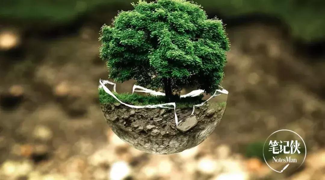 精力管理方法技巧,总是很累吃什么补充精力