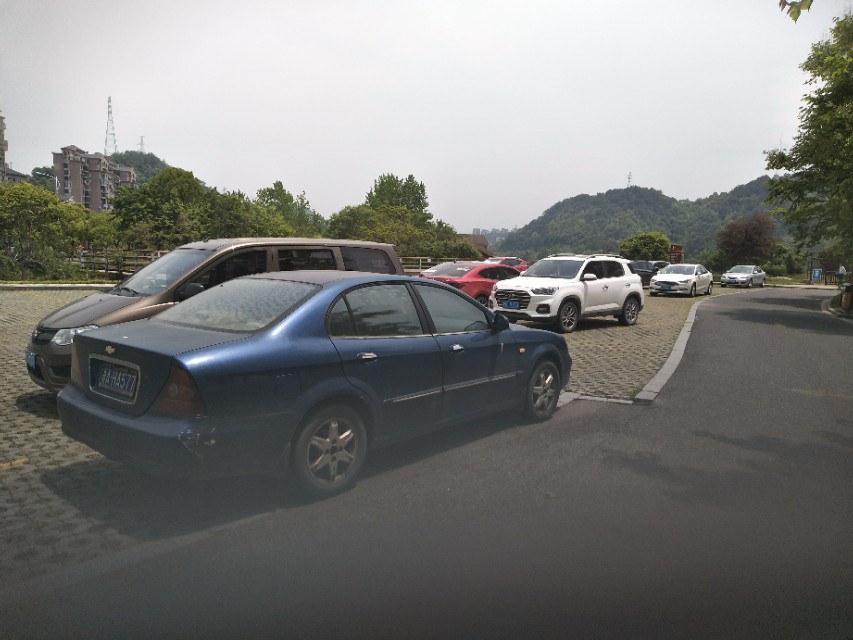 景程燃油压力阀抖动厉害,雪佛兰景程燃油泵召回