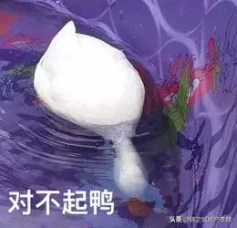 和朋友吵架了冷战怎么解决搞笑,和朋友吵架冷战想和解的视频