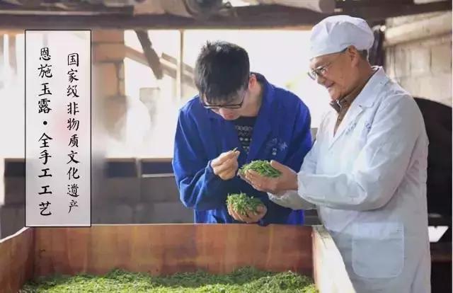 恩施玉露绿茶推荐,清甜又爽口的绿茶谁不想尝一口呢