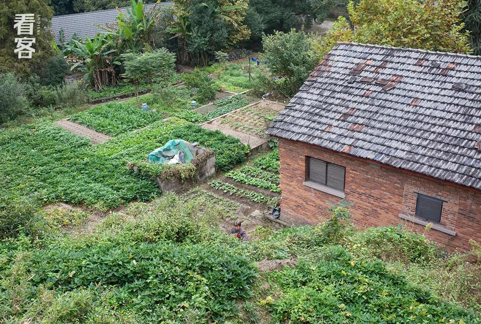 尘肺病最后的日子,尘肺病的最难熬的日子