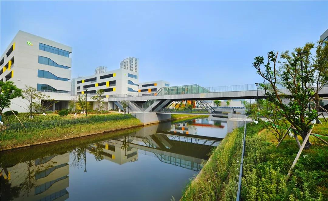 杭州湾人口增加,杭州湾新区吸引周边乡镇人口