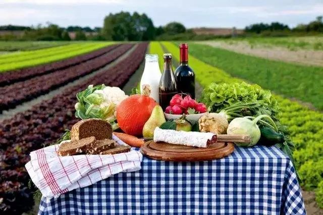 中国有机农业的道路应该如何寻找,有机农业中国农业