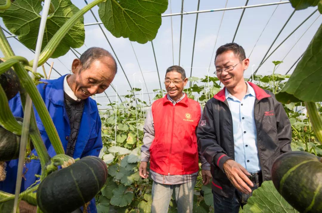 书写温暖人心的民生答卷,病有所医一份温暖的民生答卷视频