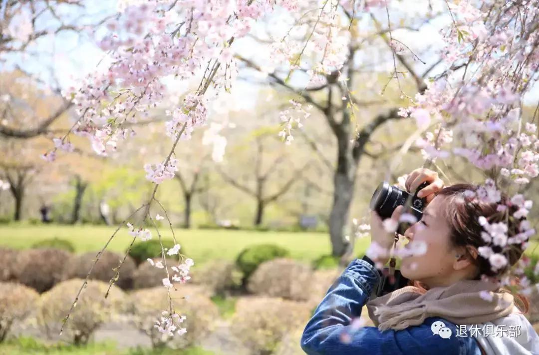 春暖花开赏玉兰,春暖花开我们依旧自由赏樱