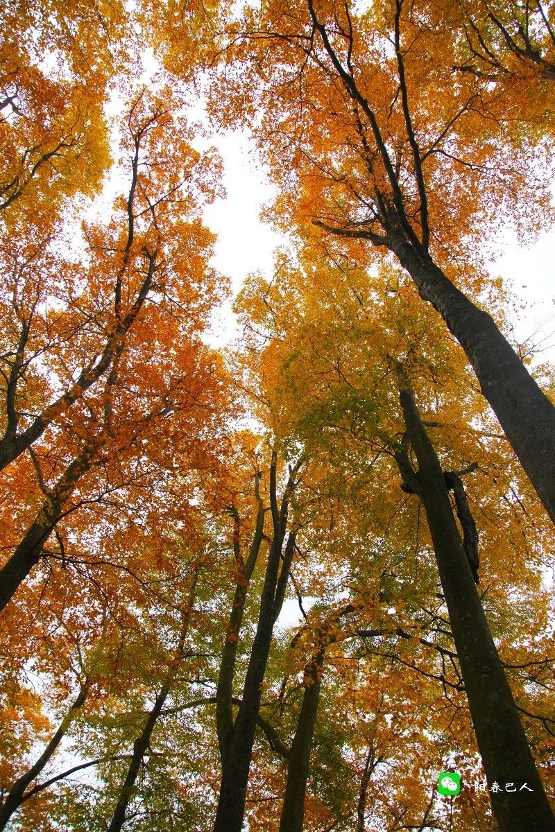 光雾山摄影,一位摄影师镜头下的中国