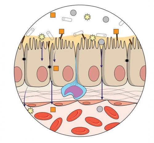 飞鹤星飞帆0-6个月国产奶粉排行榜,飞鹤星飞帆奶粉口碑最好的前十名