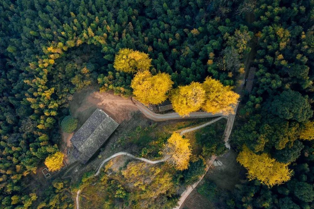 【谁不说咱家乡美】美丽中国，“乡”约万安（河西片）