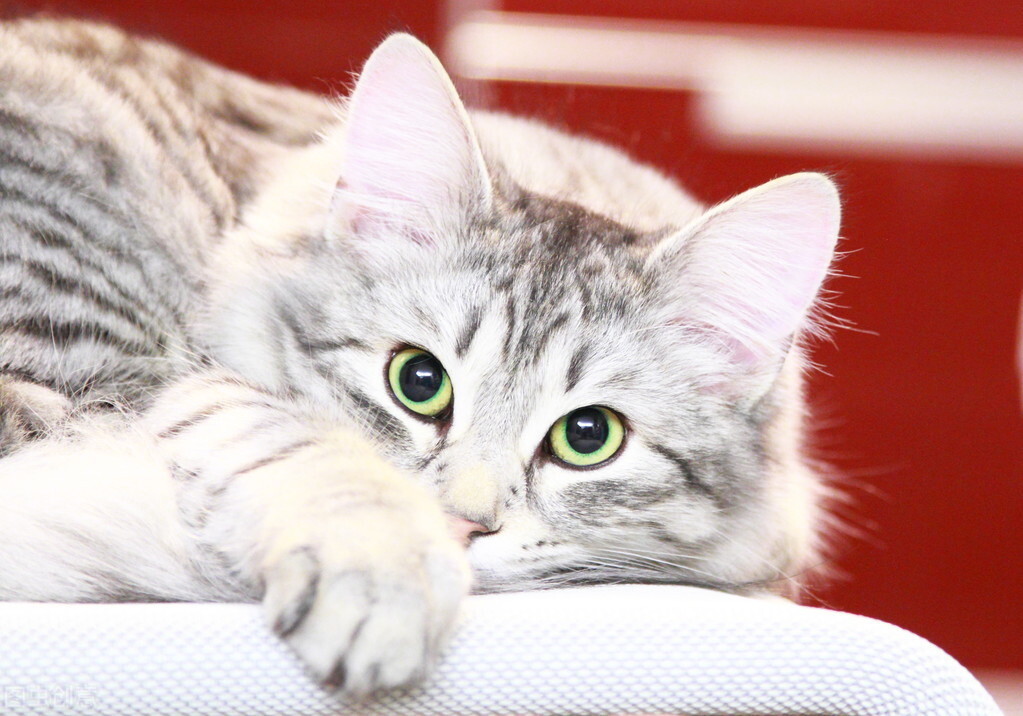 孩子不知道写作文怎么办,小学生作文20种写作开头技巧