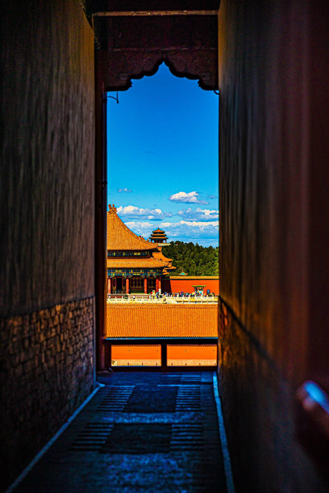 eosr6到底值得购买吗,eosr比r6像素高