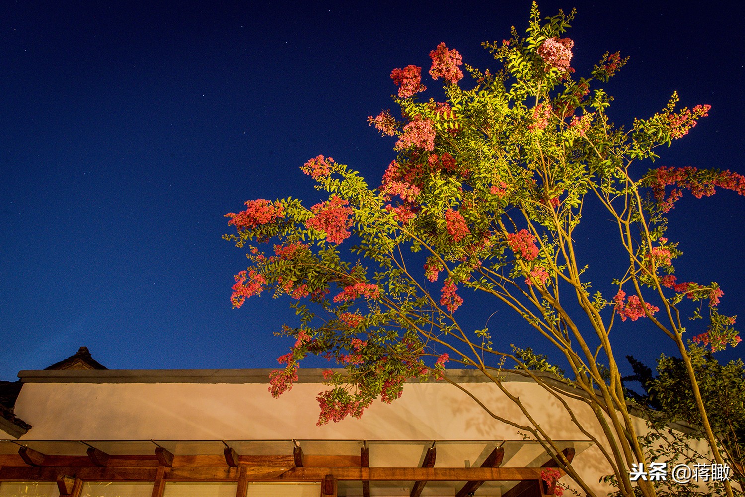 松阳,会是下一个理想国么?