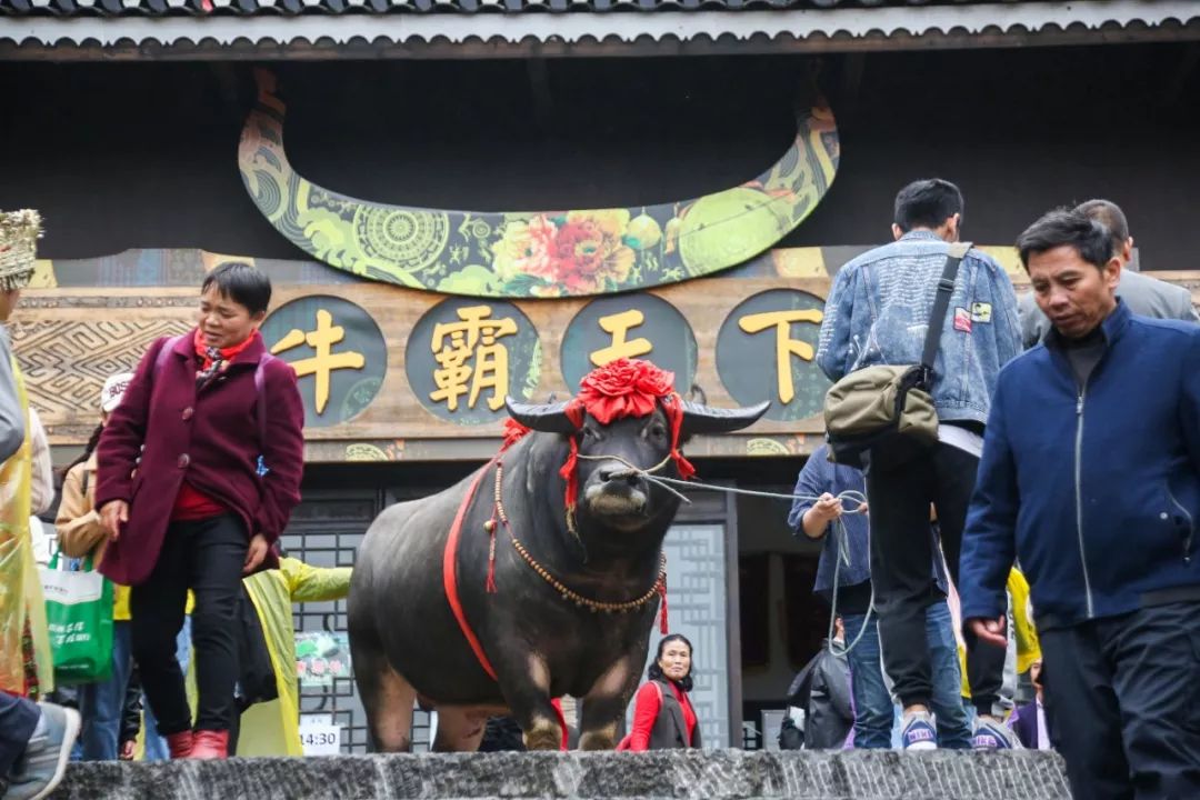 5万人PK酒量饭量胆量!这个饭局水陆两栖震撼上天