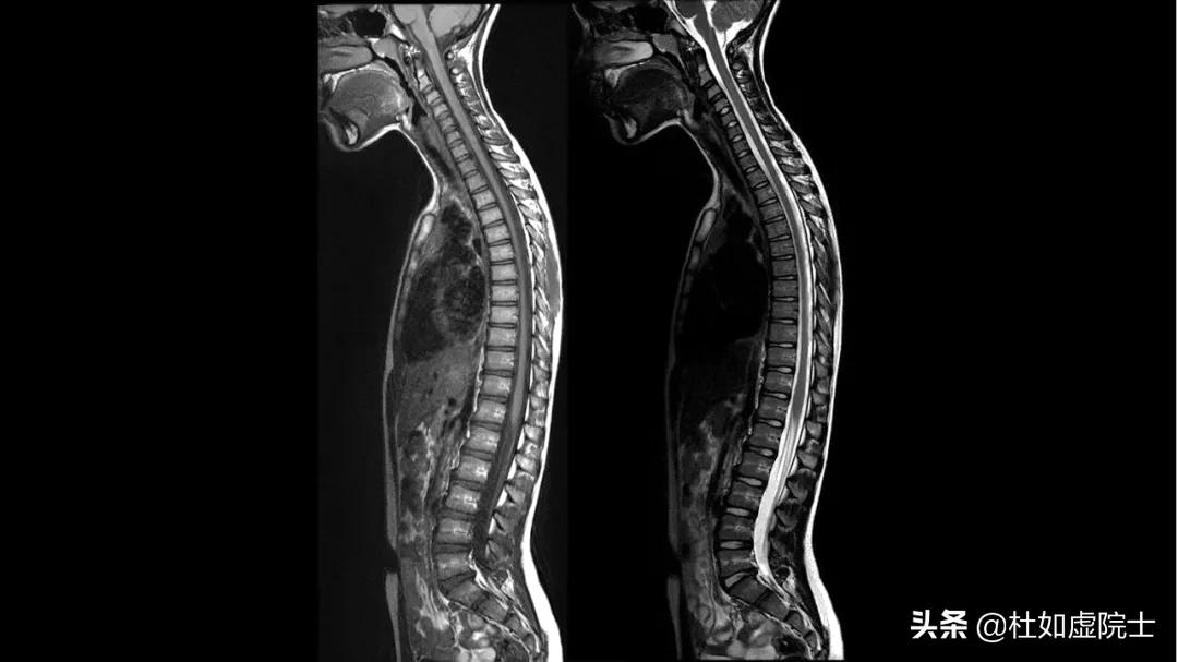 广东科学中心讲解视频,广东科学中心讲解介绍视频