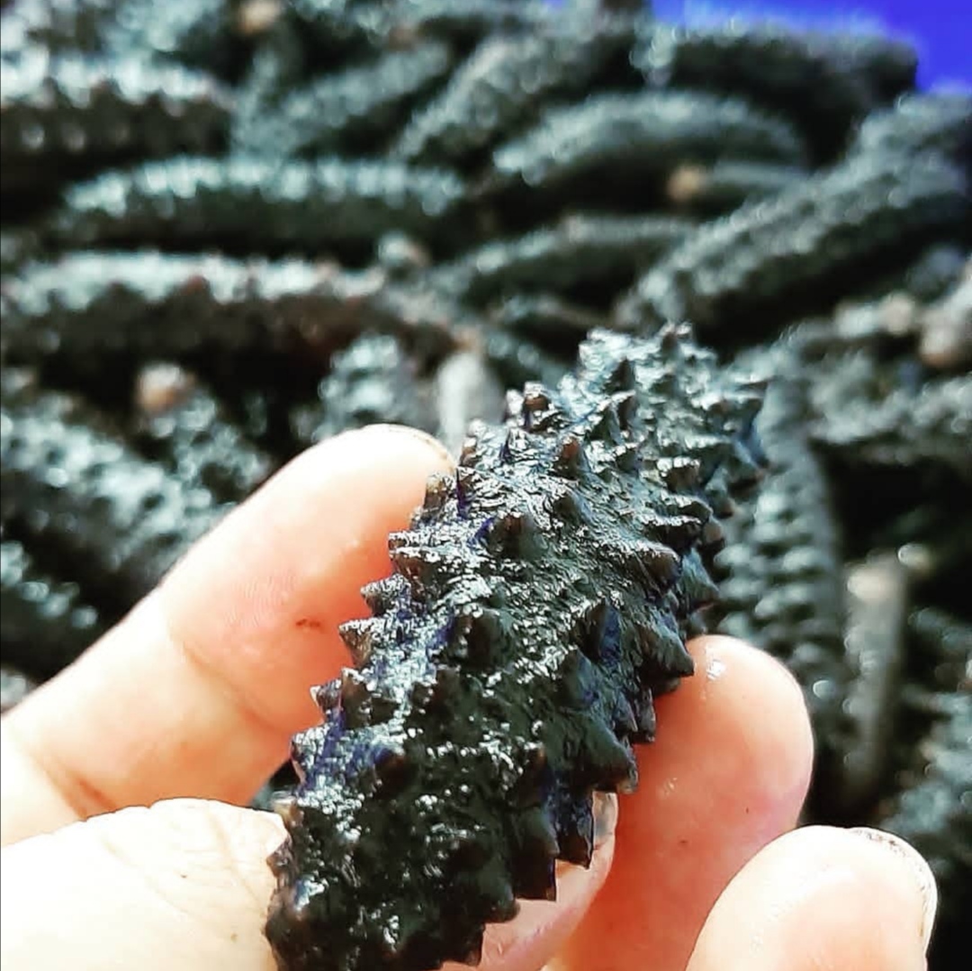 中式宴席中的头菜,宴席最好的菜