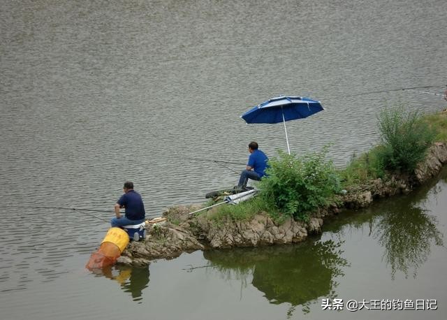 黑鱼钓法技巧野钓,黑鱼钓法技巧