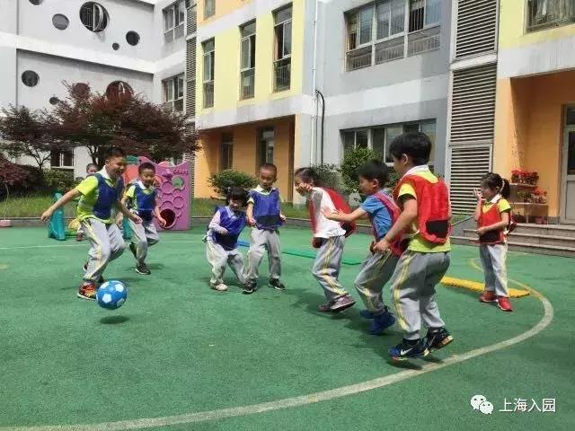 上海幼儿园运动特色,上海以运动为主的幼儿园