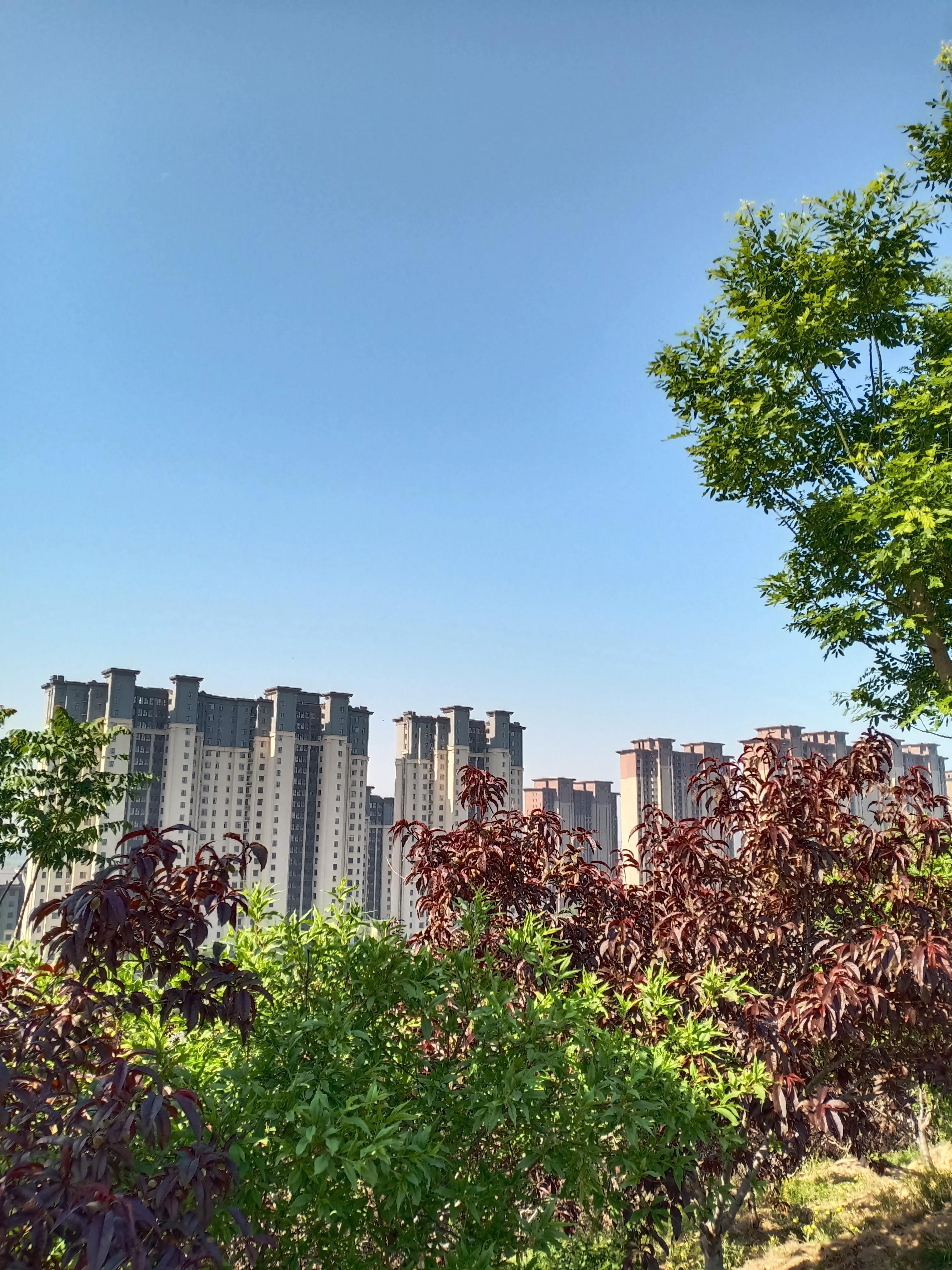 濮阳龙山公园有啥好玩的,濮阳龙山公园在什么地方