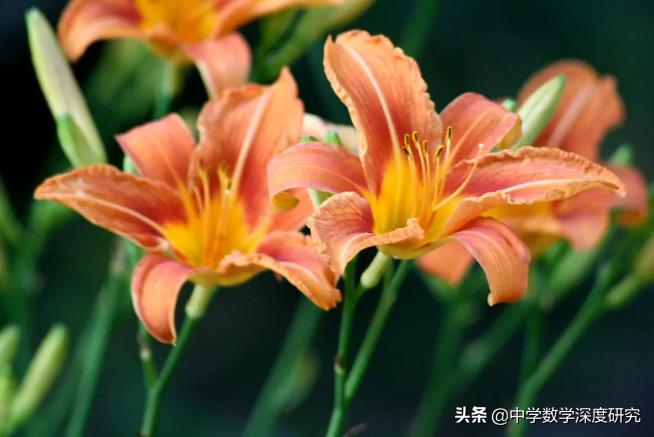 用教育学理论分析孟母三迁,关于孟母教育孩子的方法