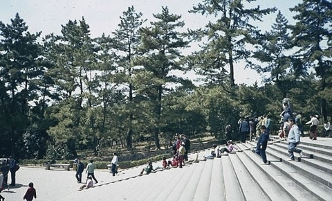 南京金陵饭店中国第一高楼的变迁,南京第一高楼与古建筑