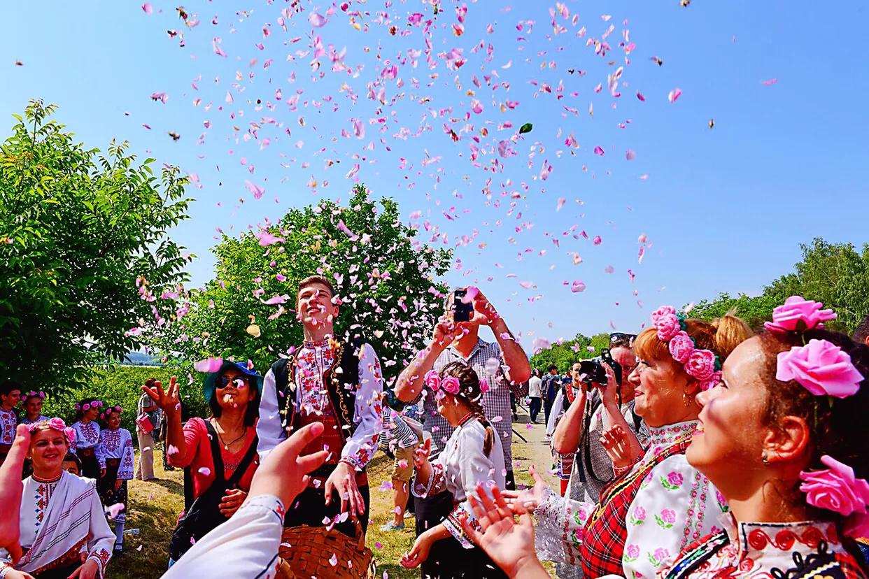 保加利亚玫瑰纯露官方旗舰店,保加利亚玫瑰介绍