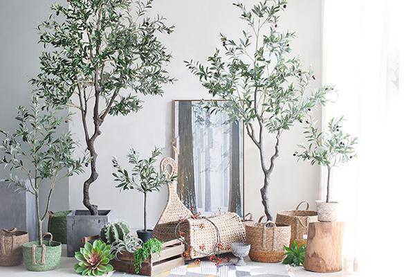 欧美风植物,极简现代风仿真植物