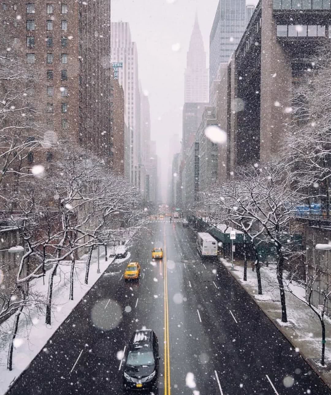 杨幂和肯豆现在的照片,杨幂与肯豆穿的高跟鞋