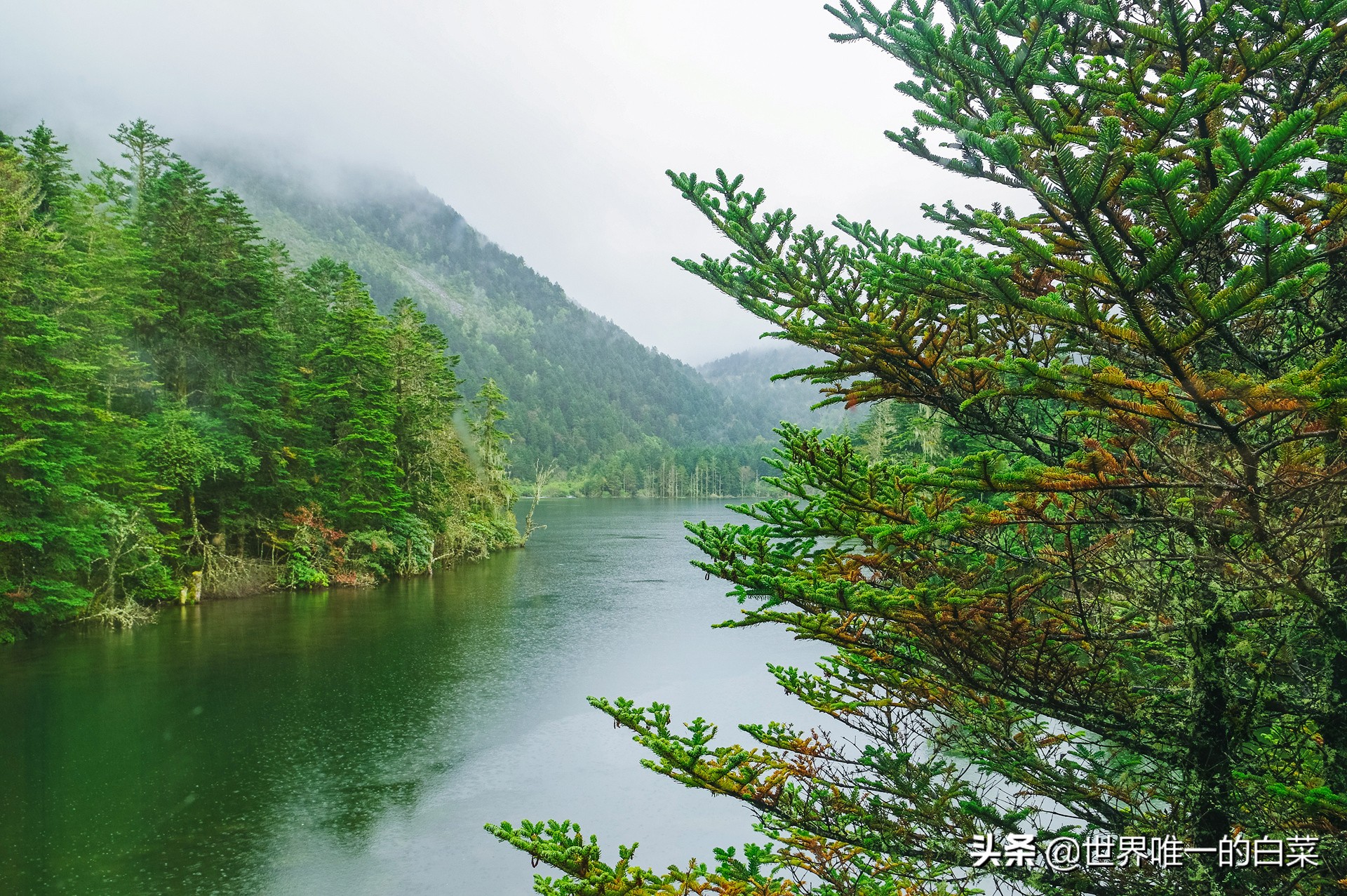 康定情歌川西旅游,318川西康定木格措