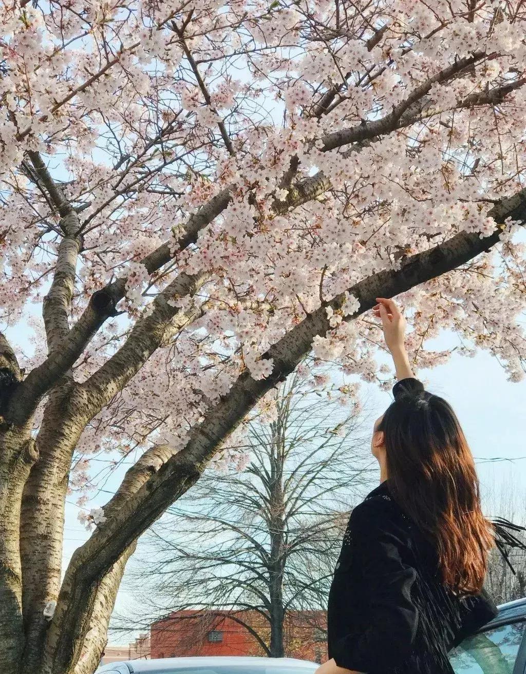 随便选个地方旅游,西安周边海边游玩景点推荐