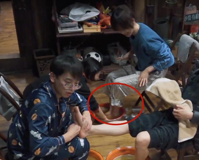 张子枫杨紫张艺兴,张子枫和杨紫综艺节目