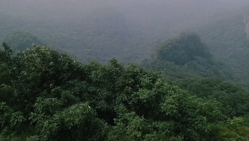 荣耀手机拍照怎么更清晰,荣耀手机拍照怎么好看