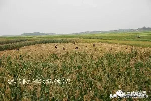 朝鲜七八十年代农村照片,80年代朝鲜老照片农村