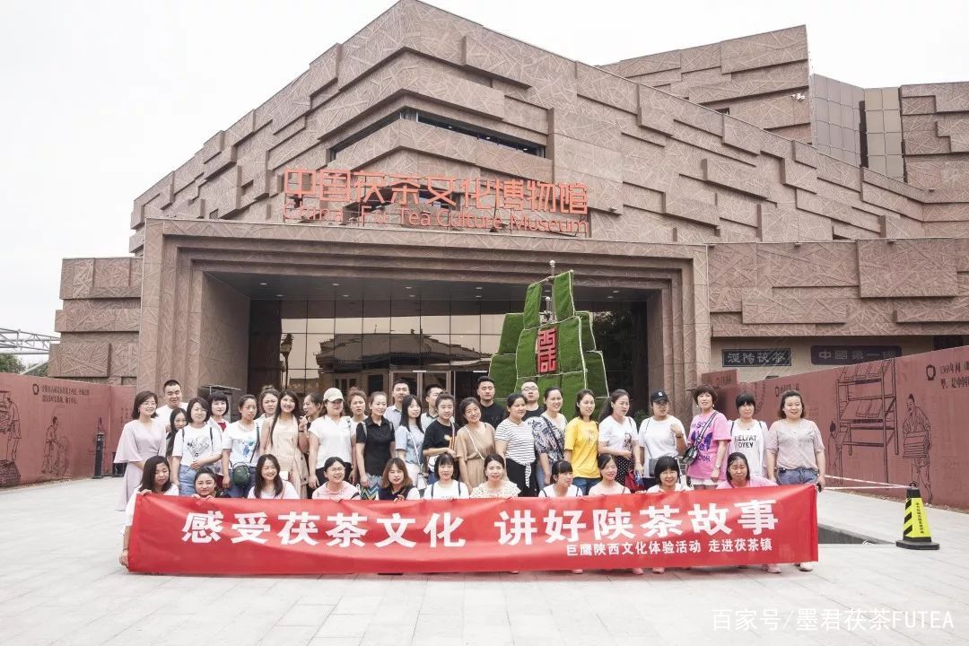 会友会景会茯茶品古品今品墨君|陕西巨鹰公司莅临金叶茯茶参观