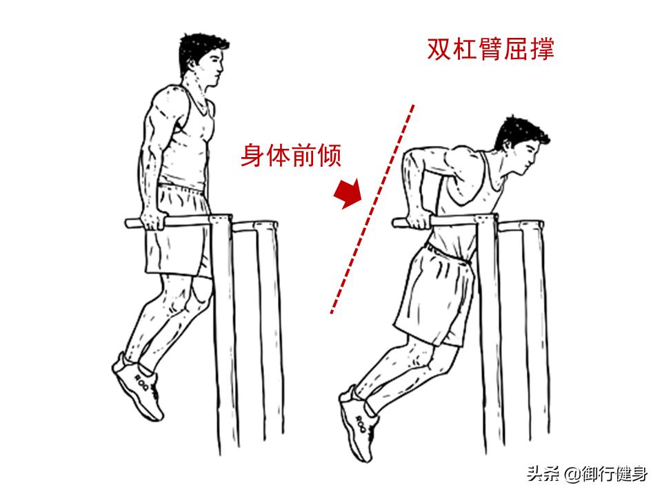 练胸肌到底是胸发力还是拉伸胸肌,练胸肌最有效的动作上中下胸