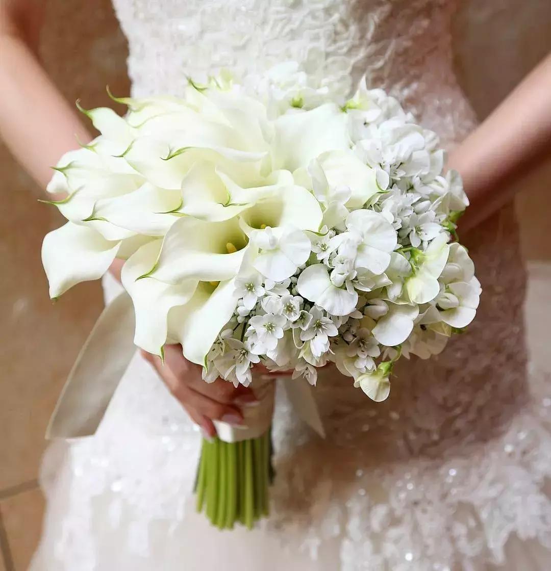 马蹄莲插花怎么养时间长,马蹄莲鲜花养护