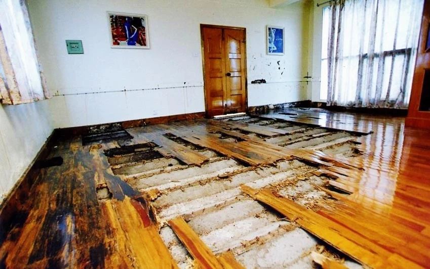 下雨天很多飞蚁是什么蚁,雨后飞蚁怎么来的