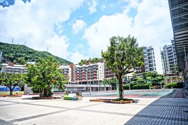 红岭中学可以走读吗,深圳红岭中学优缺点