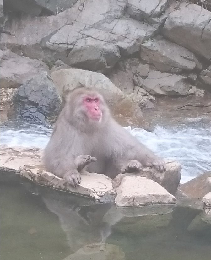 cnn评选出的日本最美的31个景点,cnn评选世界十大旅游地