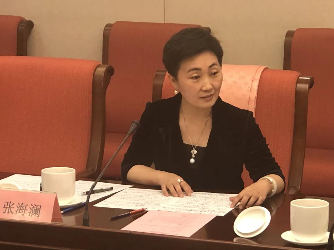 中医药文化海外传播,海外中医药发展研讨会