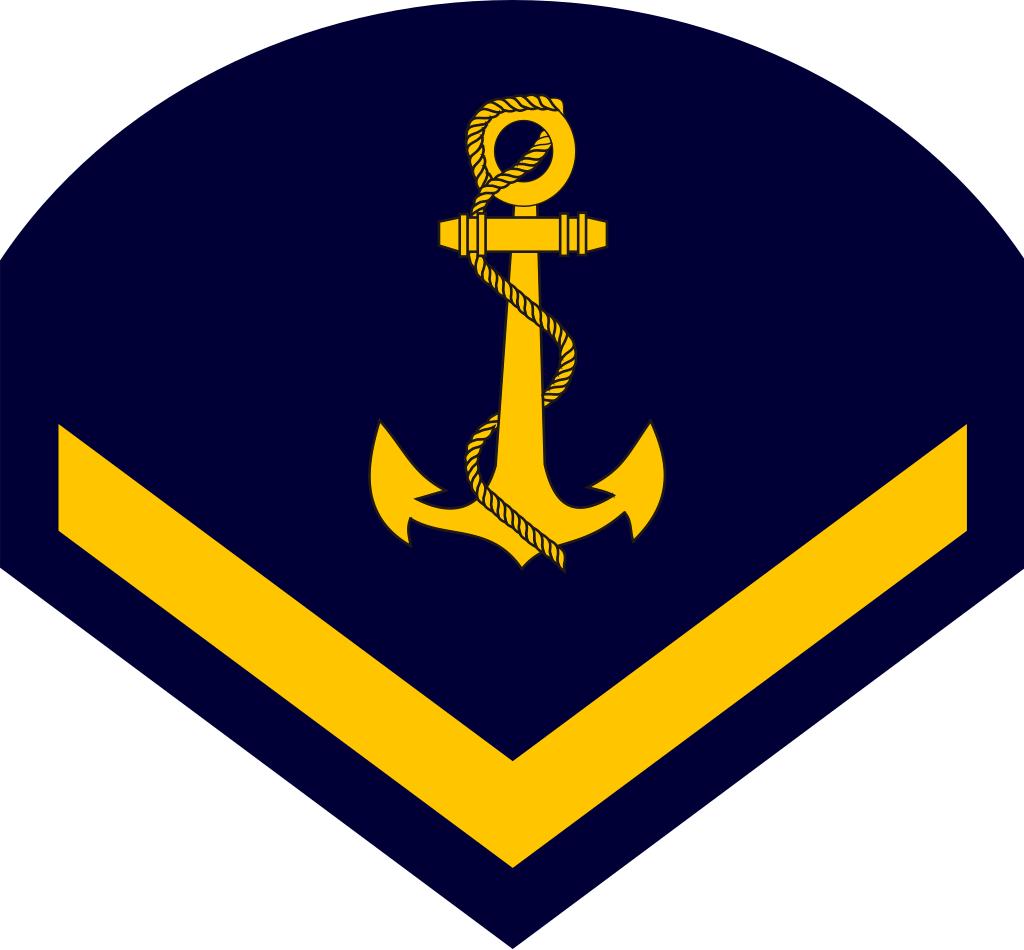 巴西军队标志,巴西海军军衔