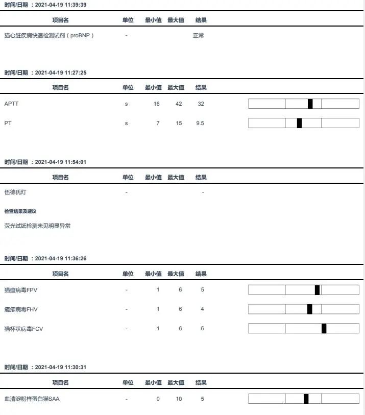 猫咪眼睑内翻必须手术吗,猫咪铲屎官有哪些表现症状