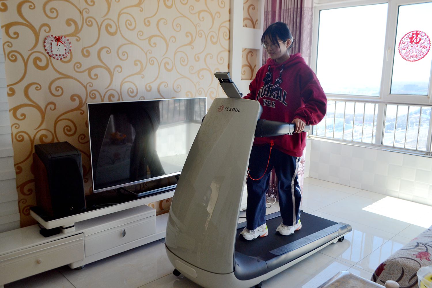 因为老罗入坑！入手了野小兽P30跑步机，坚持了半个月谈谈感受