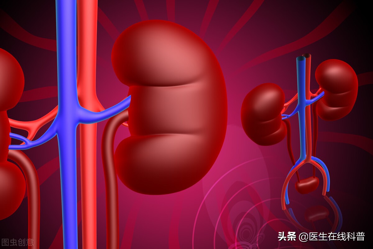 肾病蛋白尿患者如何调理生活饮食,肾炎消蛋白尿食疗