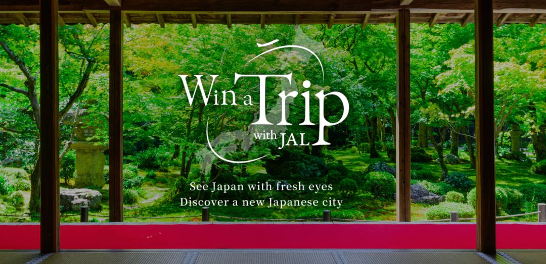 航司特惠机票日,航司直销机票