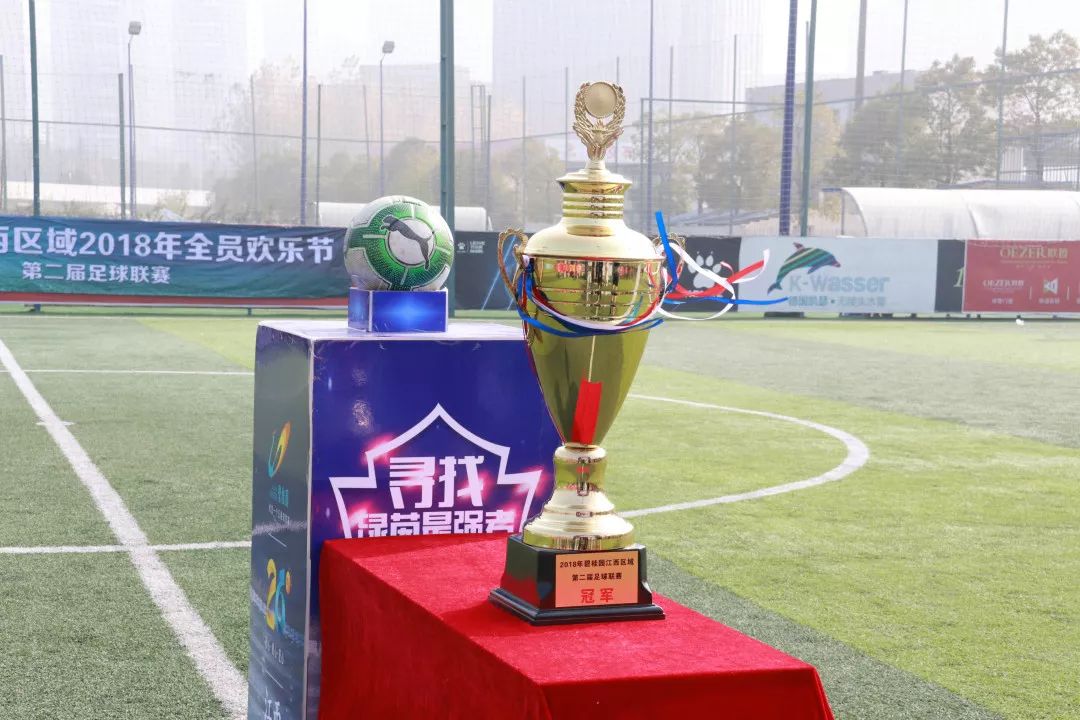 碧桂园最牛总裁,碧桂园杰出企业文化传播人