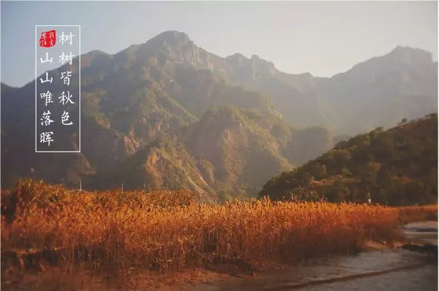 意境十足的千年古镇,千年古镇桃源之地